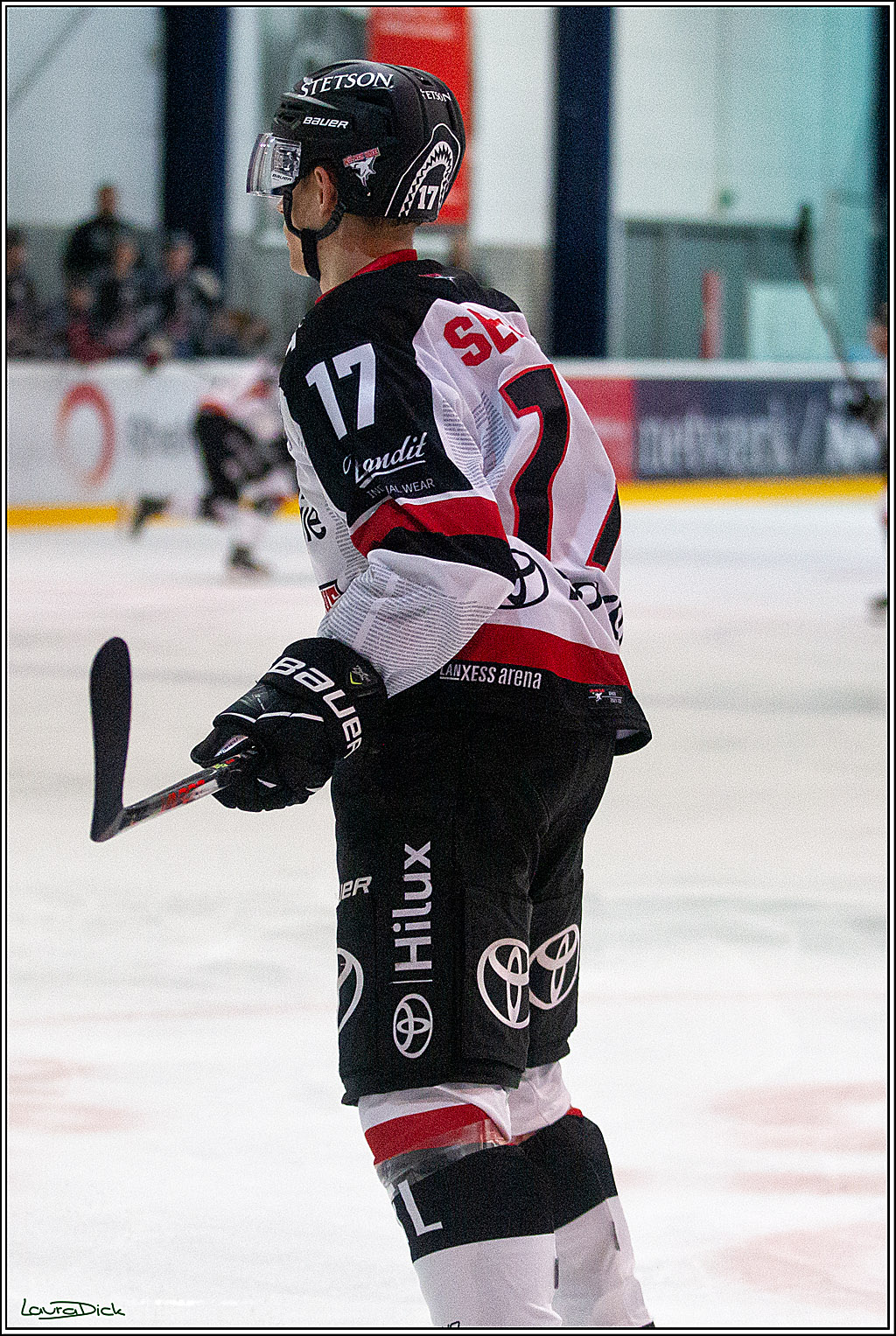 PENNY DEL;  Koelner Haie - Aalborg Pirates; Koeln, 21.08.2021